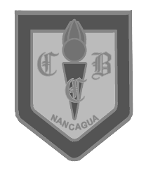 colegio_basico_consolidado