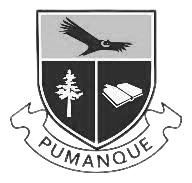 colegio_pumanque