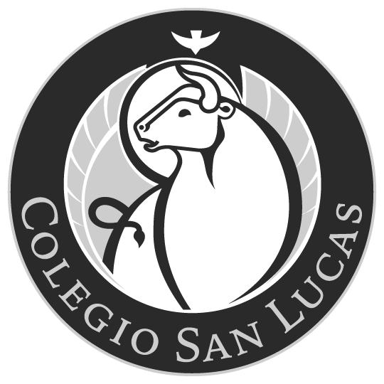 colegio_san_lucas