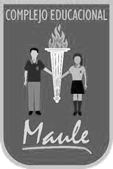 complejo_educacional_maule